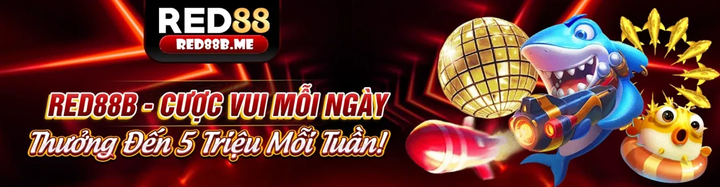 Hình ảnh đại diện cho Điều khoản Dịch vụ của 8dayvn